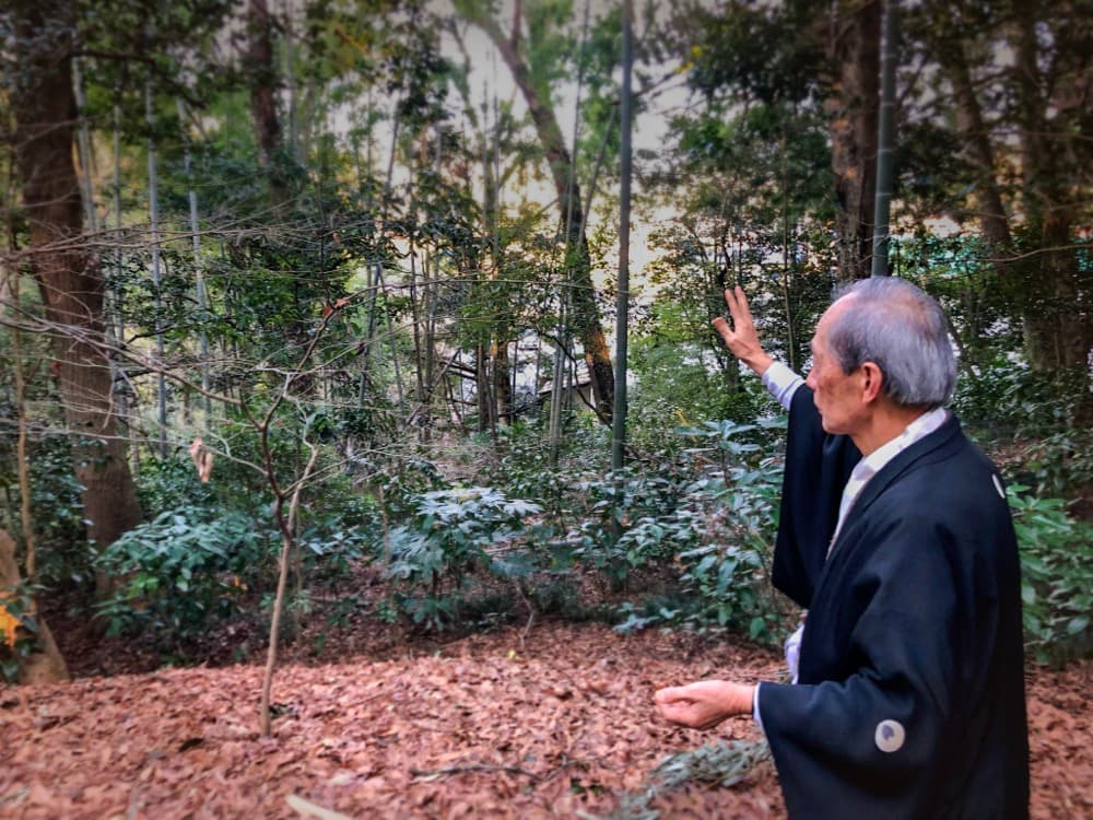 高千穂神社